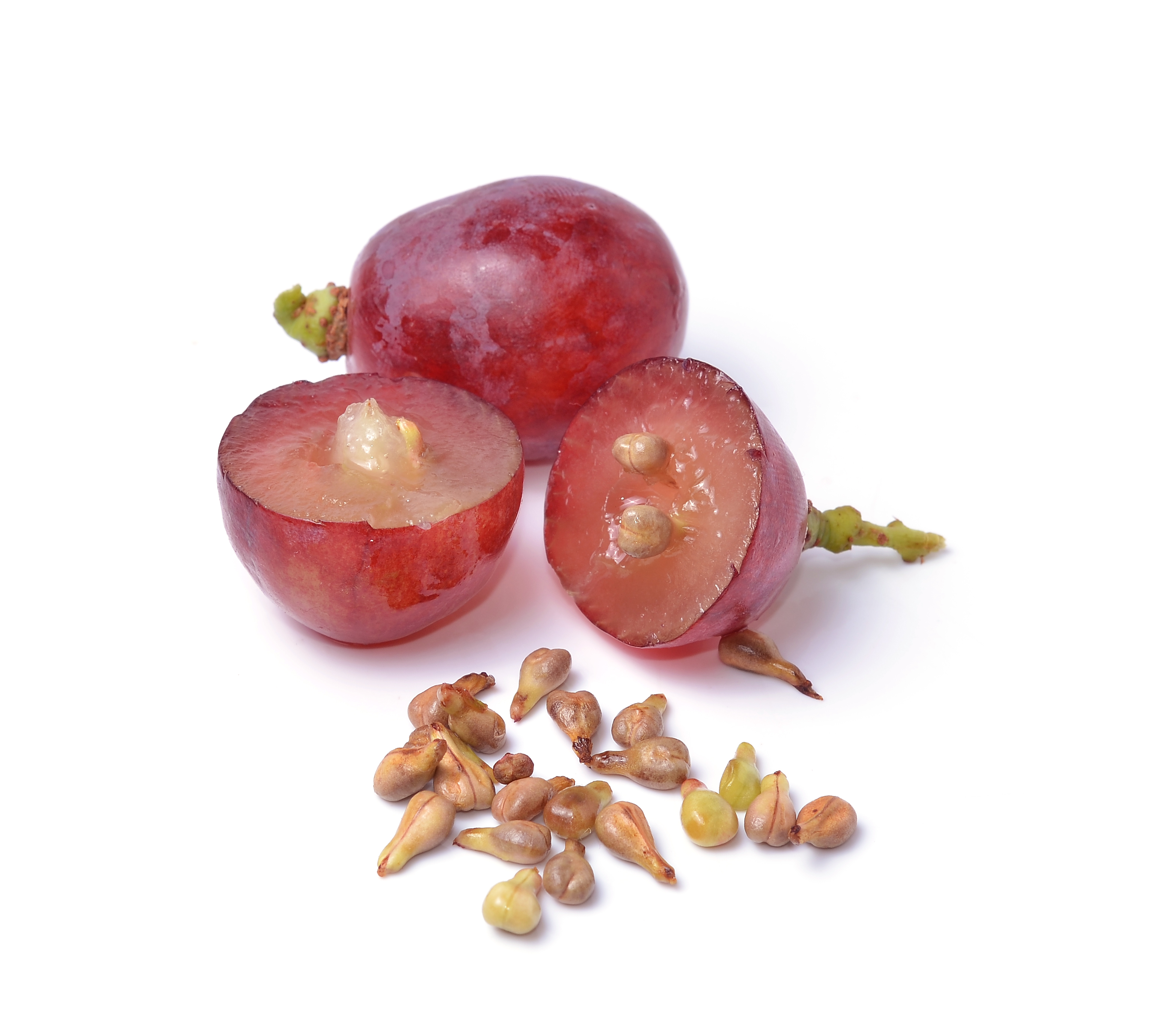 General Nutritional Support (Superfoods)